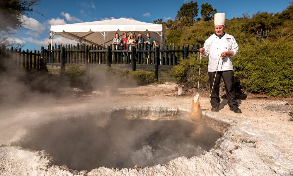 Te Puia Guided Tour with Steambox Hangi Lunch