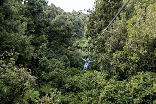 The original canopy experience