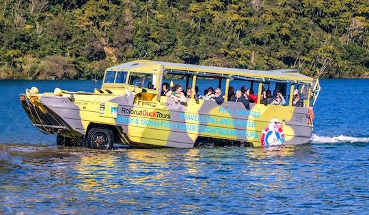 Thermal amphibious experience