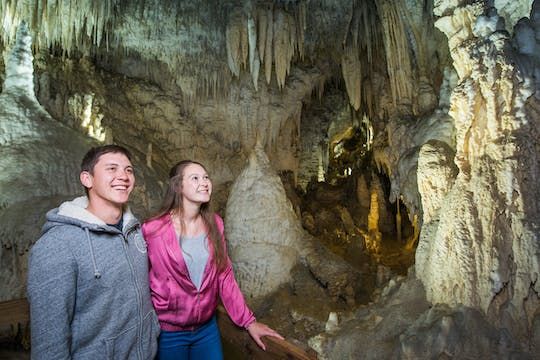 Triple cave experience - Waitomo Glowworm,  Ruakuri and Aranui Cave