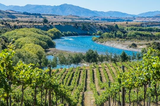 Wanaka boutique wine tour