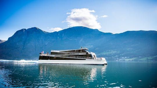 Guided day tour to Nærøyfjord including Flåm railway from Bergen