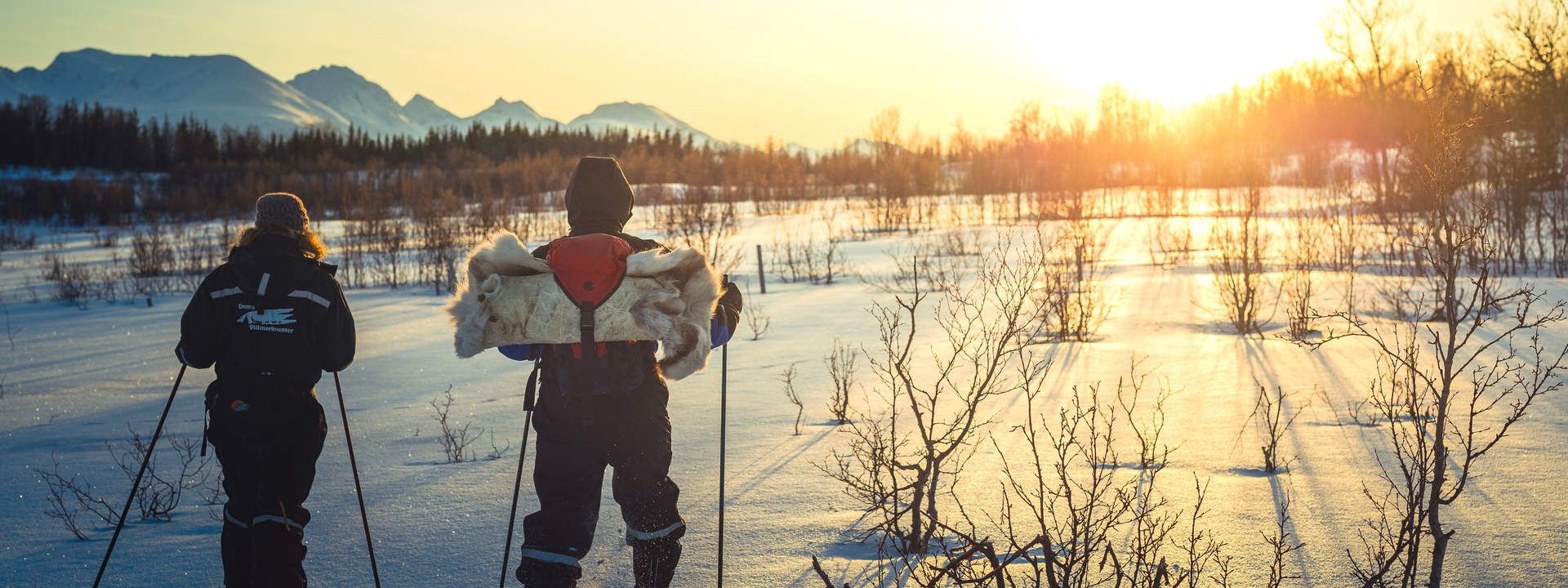 Guided Snowshoe Trip
