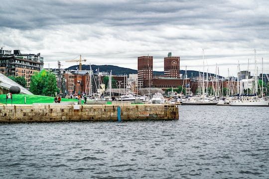 Oslo private walk from coast to city