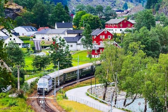 Private full-day round trip from Oslo to Sognefjord via the Flåm Railway