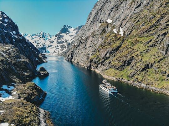 Silent Trollfjord cruise