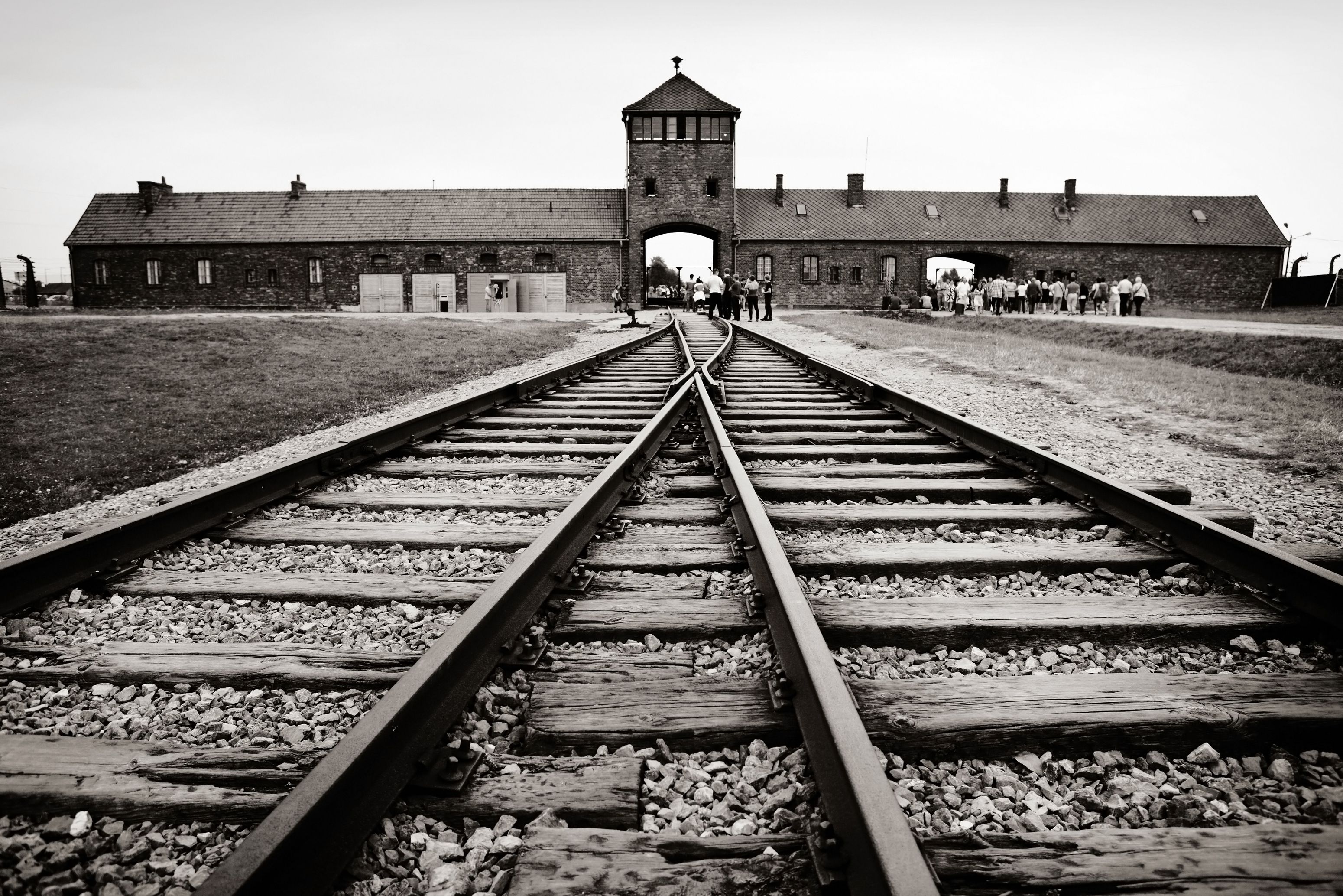 Auschwitz-Birkenau + Wieliczka Salt Mine: Day Trip from Krakow + Free E-Book