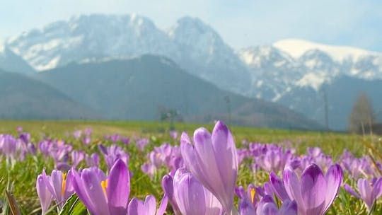 Zakopane and Tatra Mountains day tour from Krakow