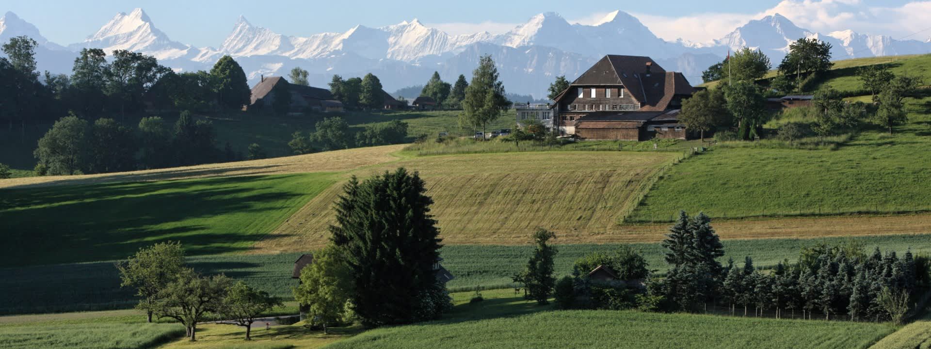 Bern Day Tour with Biscuits and Cheese Tasting from Zürich