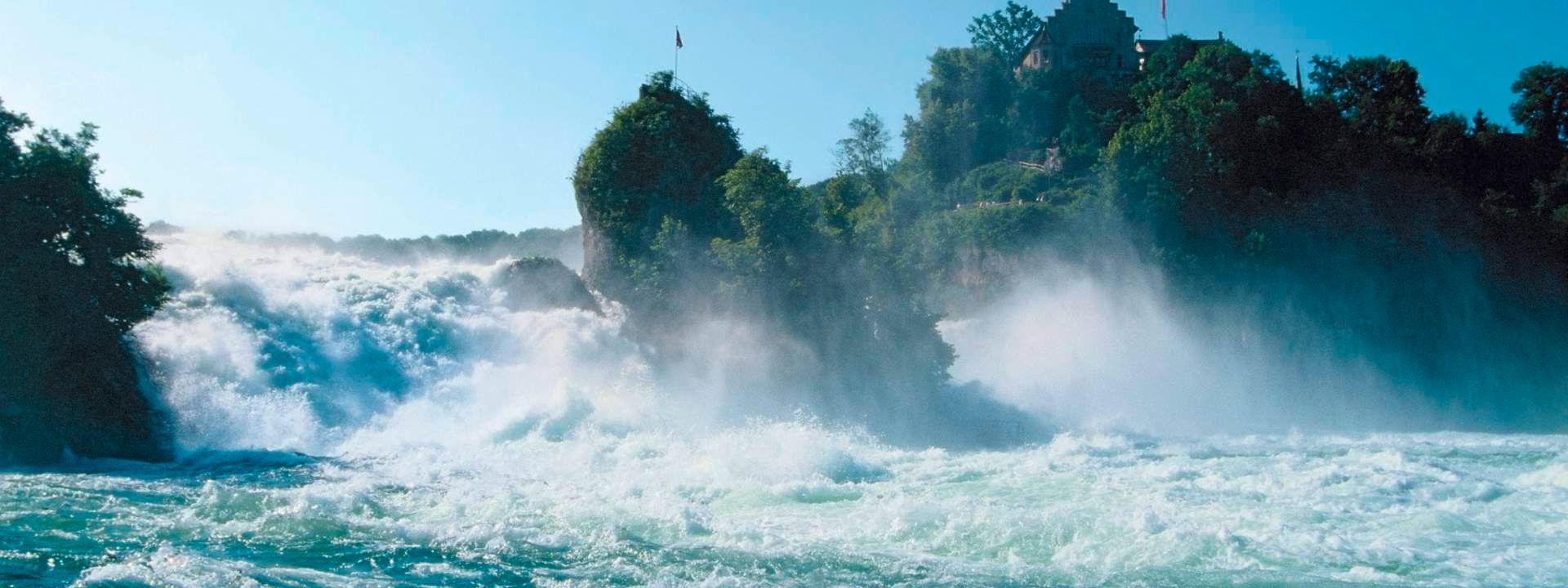 Black Forest, Titisee, and Rhine Falls Day Tour from Zurich