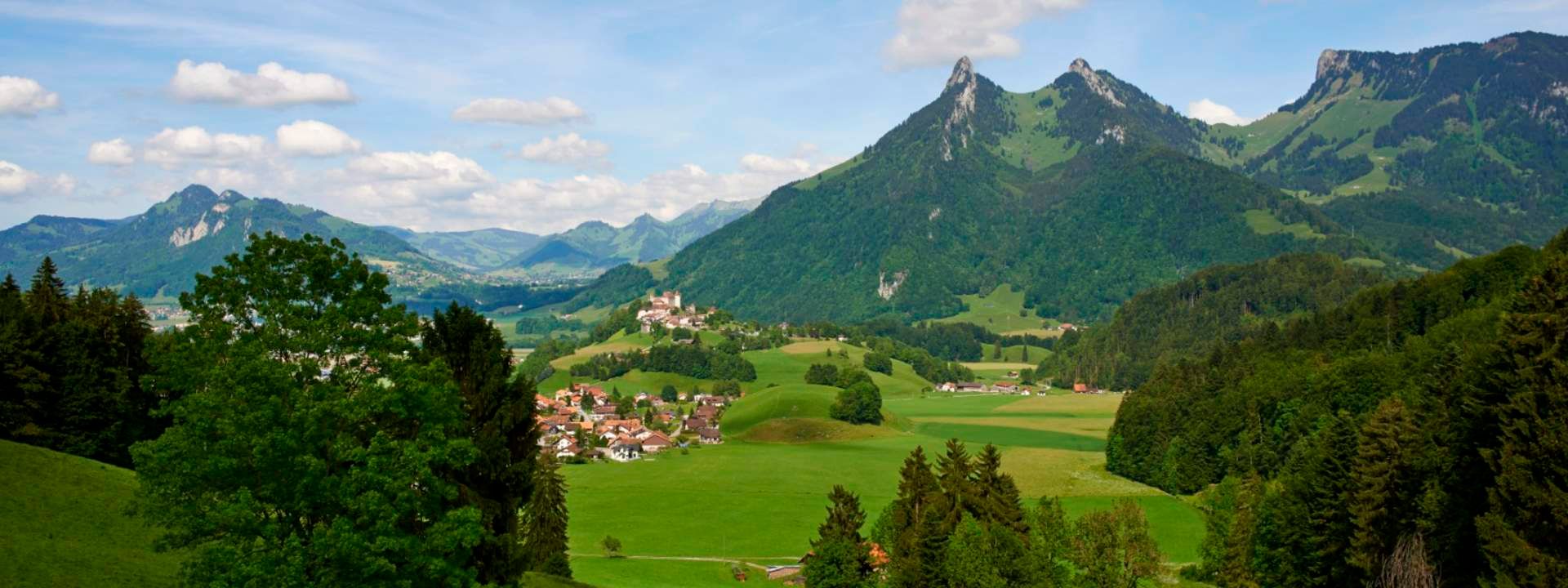 Gruyeres Day Tour with Golden Pass Train Ticket from Geneva