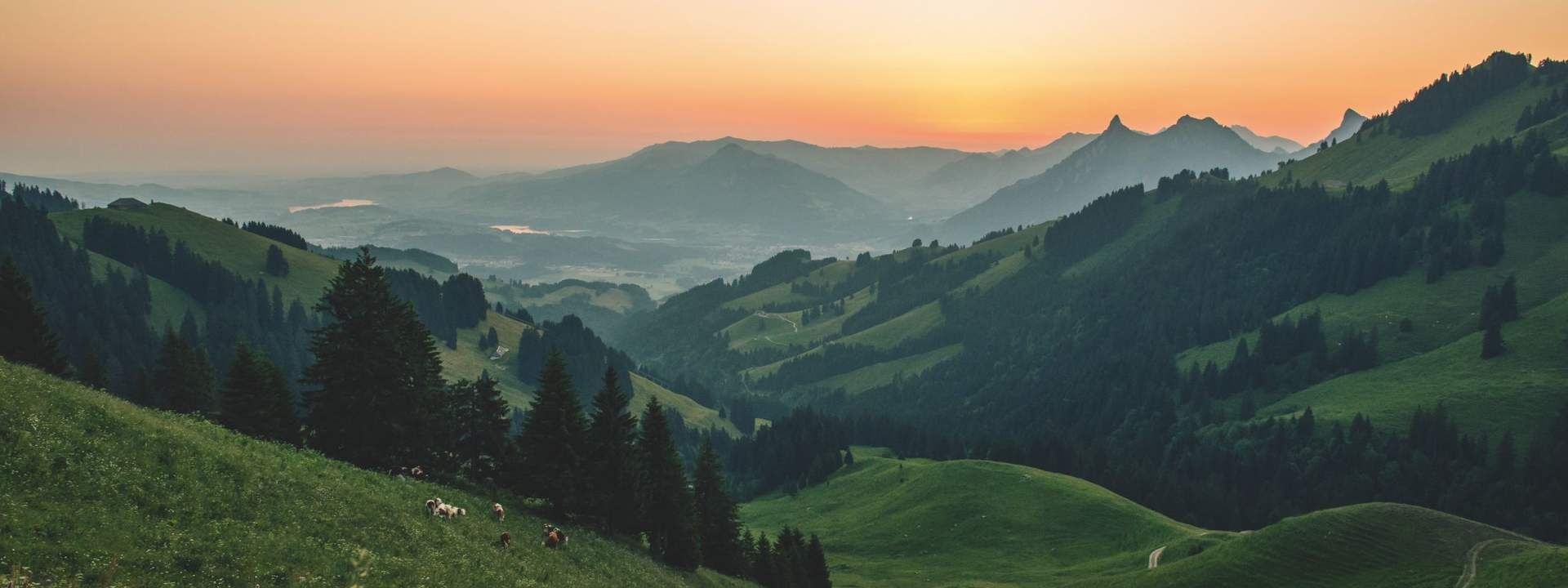 Gruyeres Day Tour with Golden Pass Train Ticket from Lausanne