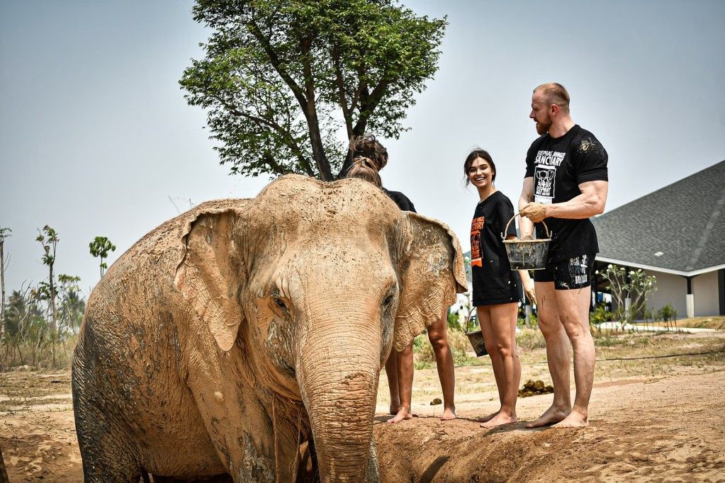 Elephant Jungle Sanctuary Pattaya