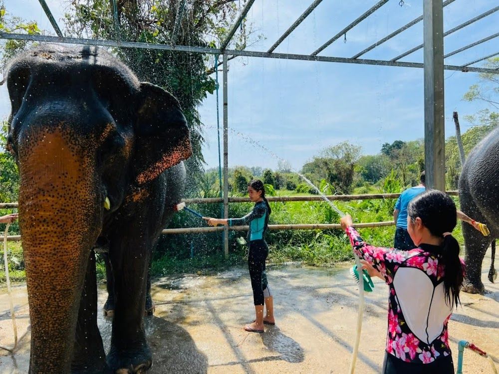 Phuket Elephant Care