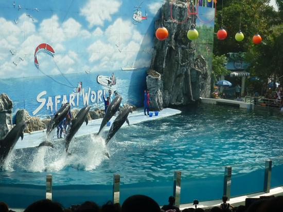 สวนสัตว์ซาฟารีเวิลด์ กรุงเทพฯ (เฉพาะชาวต่างชาติ)