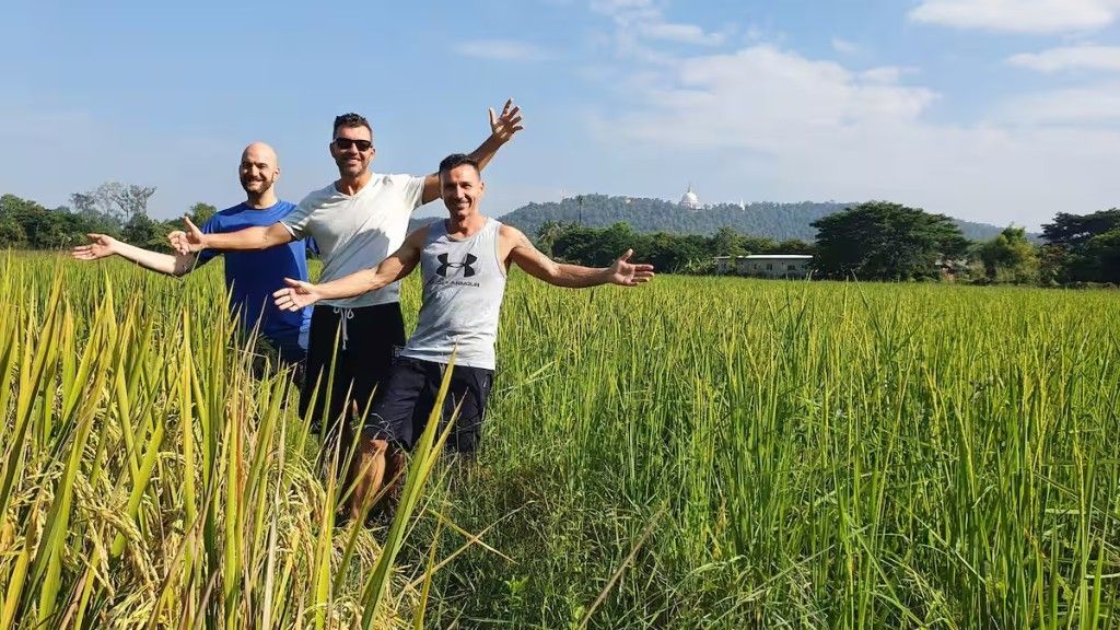 Meditation, Yoga and Thai Cultural Immersion Retreat (3 Days) | Flow Yoga