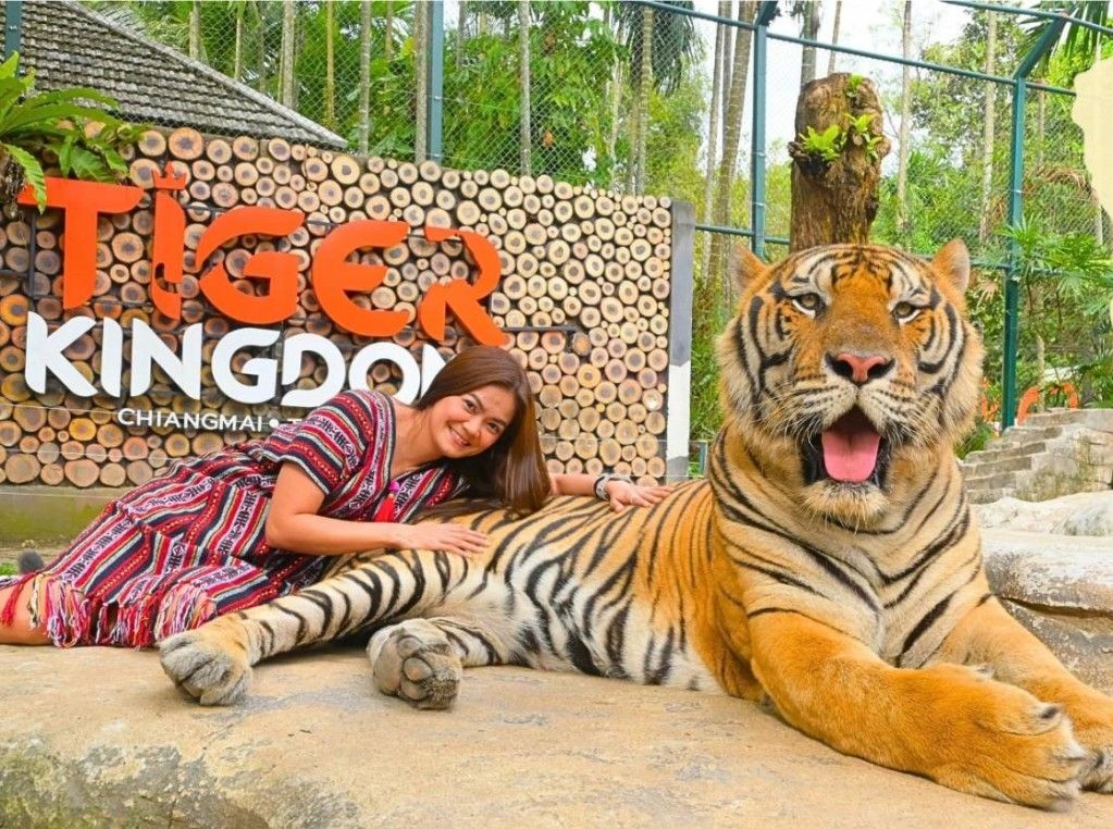 Tiger Kingdom Chiang Mai