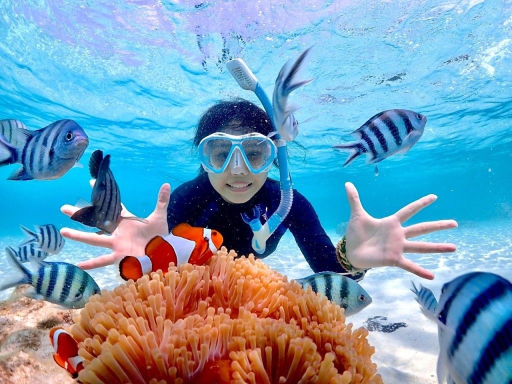 Diving Adventure at Samaesan with A. Tritip by Je Aoy