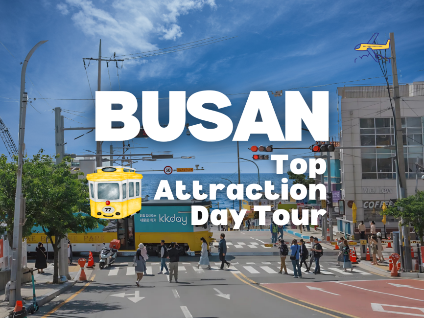 [20% OFF] Busan Top Attractions Full-Day Guided Tour | South Korea