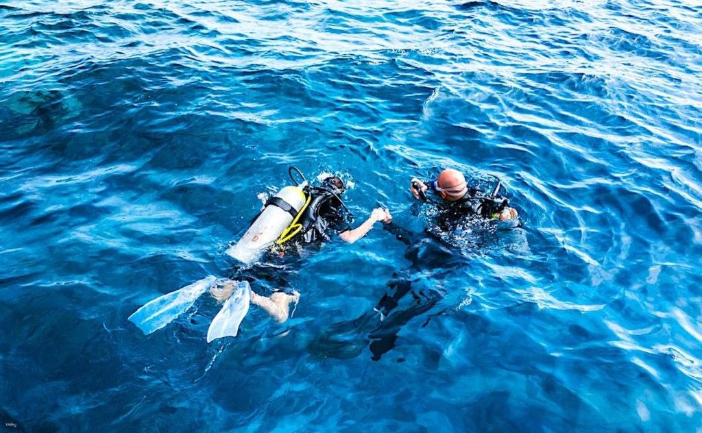 หลักสูตรการรับรองการดำน้ำ PADI เกาะเต่า | ประเทศไทย