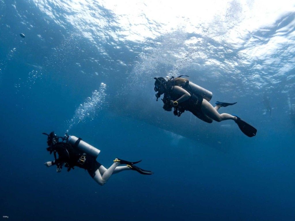 Basic Dive ที่ Koh Tao Scuba Diving Club | ประเทศไทย