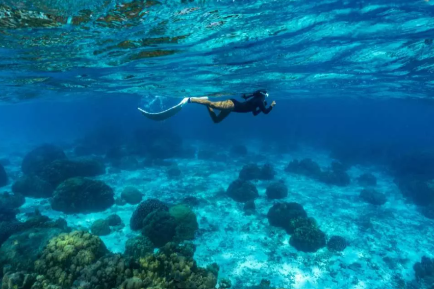 Phuket Coral Island and Racha Island Snorkeling Experience | Thailand