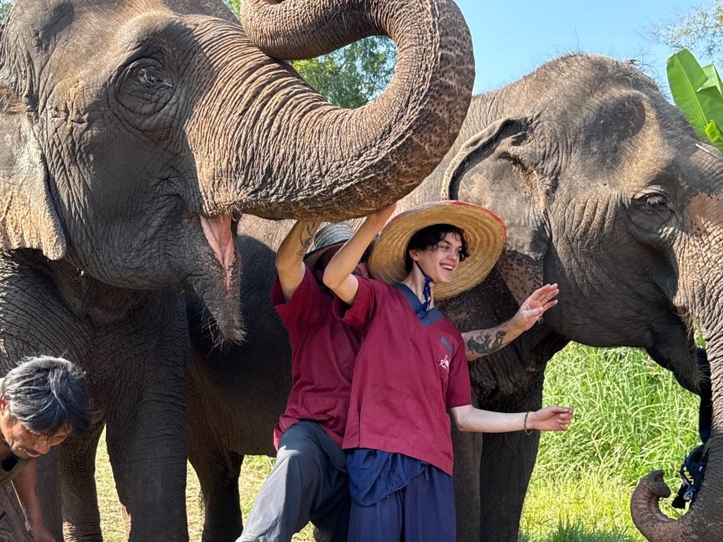 Full Day : Elephant Sanctuary, Wat Ban Den, Sticky Waterfall I Chiang Mai
