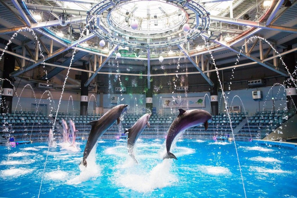 Maxell Aqua Park Shinagawa Direct-in Admission Ticket