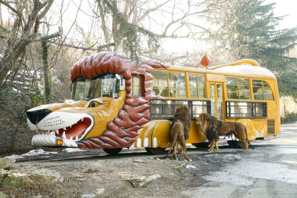 Gunma Safari Park Admission E-ticket