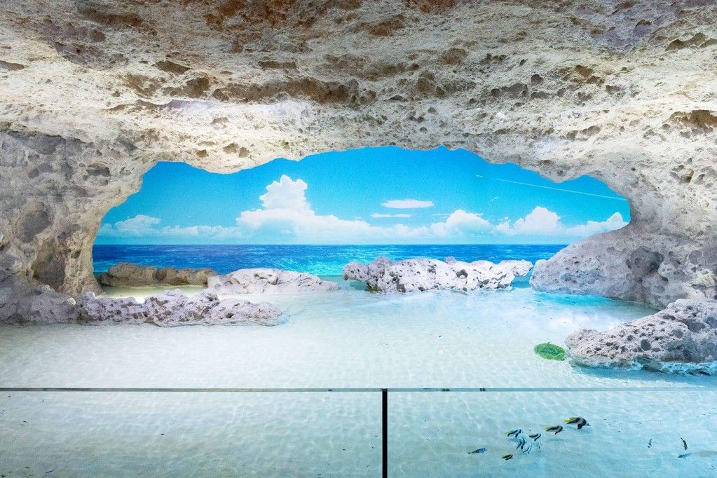 DMM Kariyushi Aquarium Admission Ticket (Valid for 6 months)