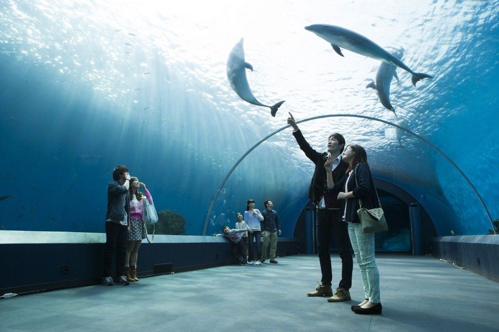 บัตรเข้าชมพิพิธภัณฑ์สัตว์น้ำ Yokohama Hakkeijima Sea Paradise