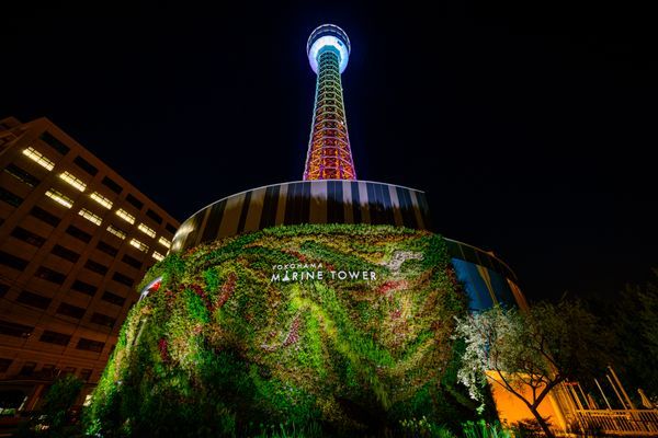 บัตรเข้าชม Yokohama Marine Tower