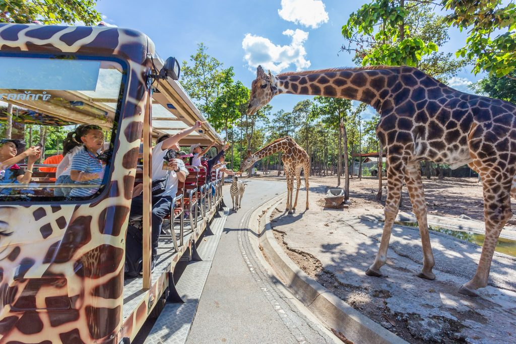 Chiang Mai Night Safari with Share Transfer