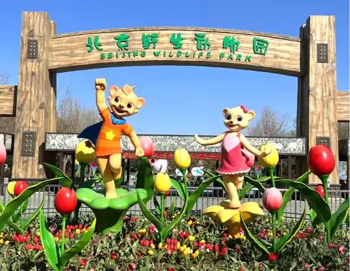 บัตรเข้าสวนสัตว์ Beijing Wildlife Park