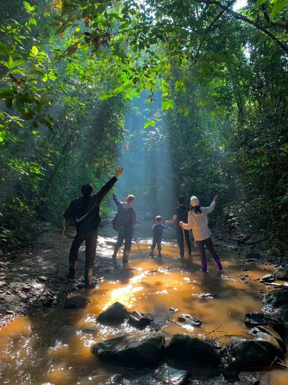 Xishuangbanna Jinuo Mountain Rainforest Trekking Experience (Includes Rainforest Meal - Excluding Transfers)
