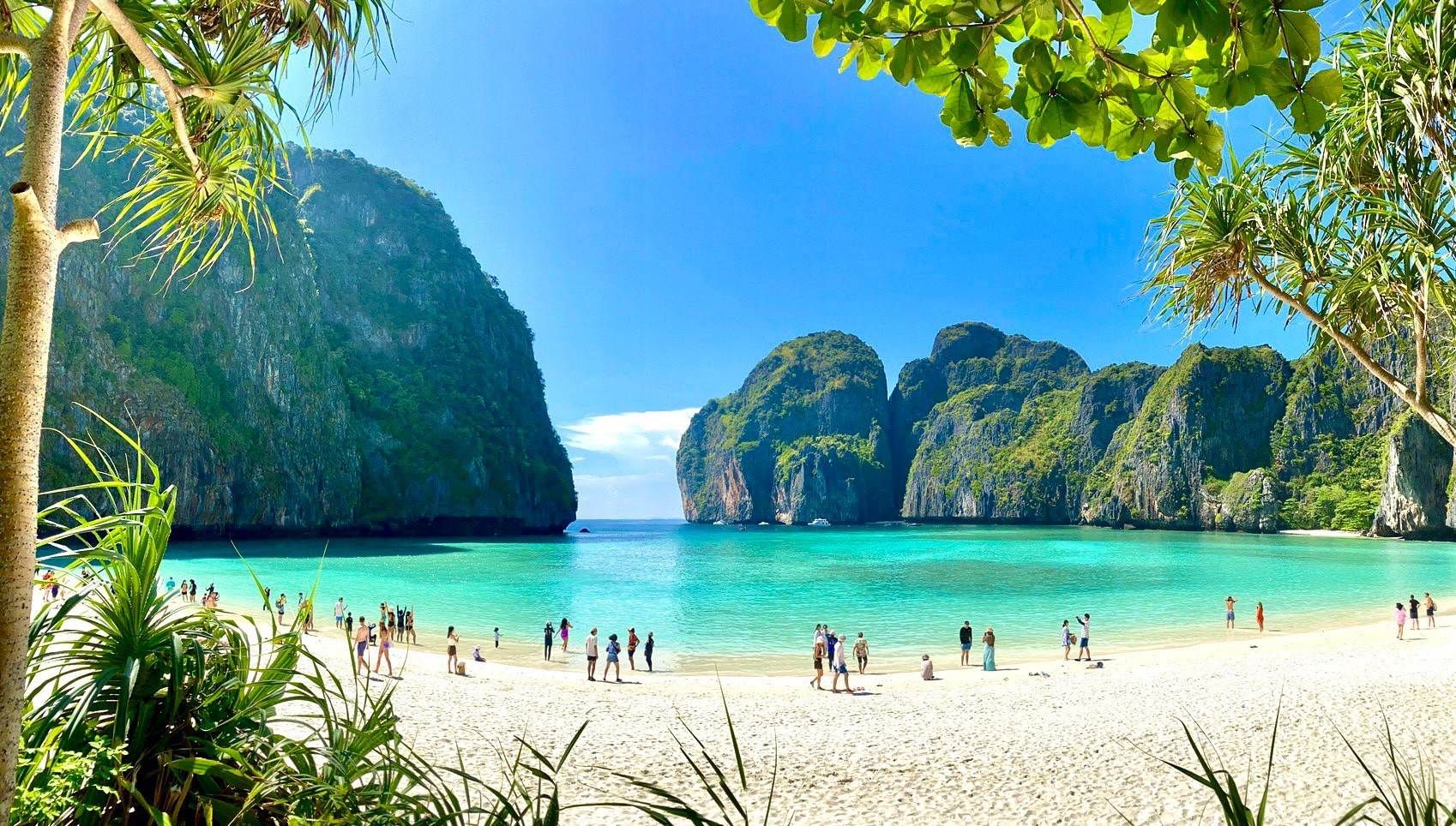 Early Bird Phi Phi Islands, Maya Bay, Bamboo Island, Chicken Island by Speedboat