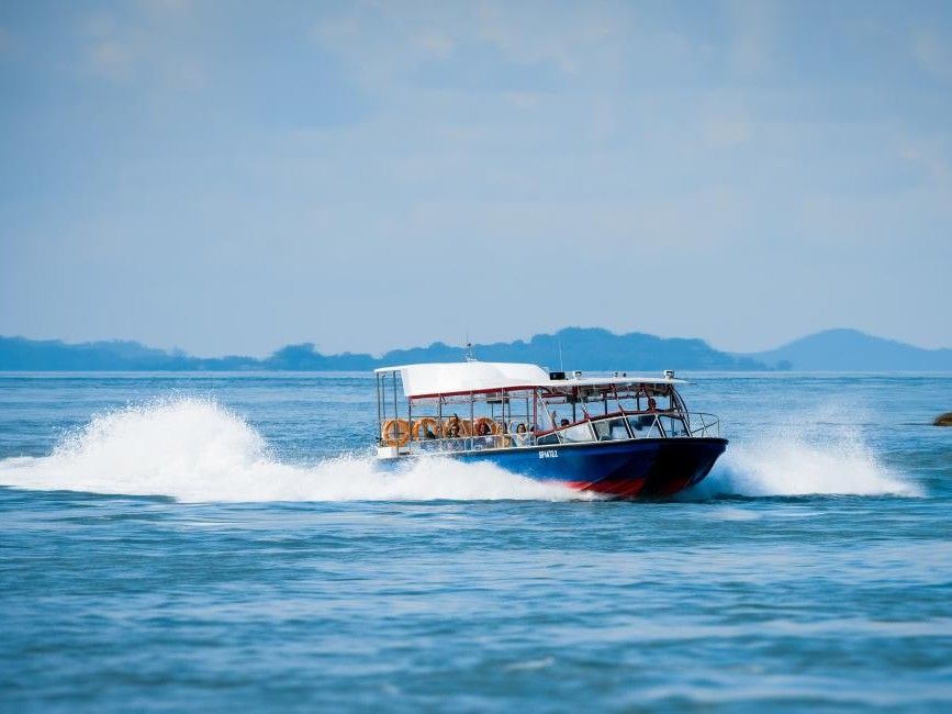 Albatross Speedboat Adventures