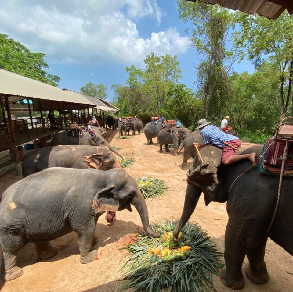 Chang Siam Krating Lai Pattaya