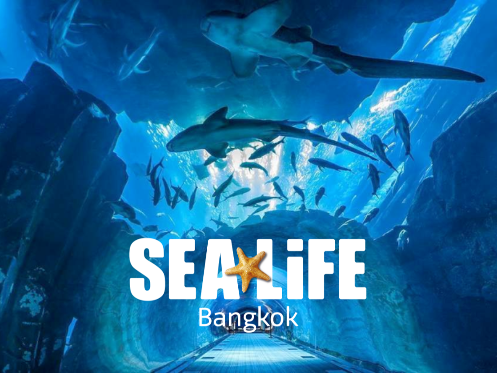 บัตรเข้าพิพิธภัณฑ์สัตว์น้ำ Sea Life Bangkok Ocean World และ พิพิธภัณฑ์มาดามทุสโซ (madame Tussauds)