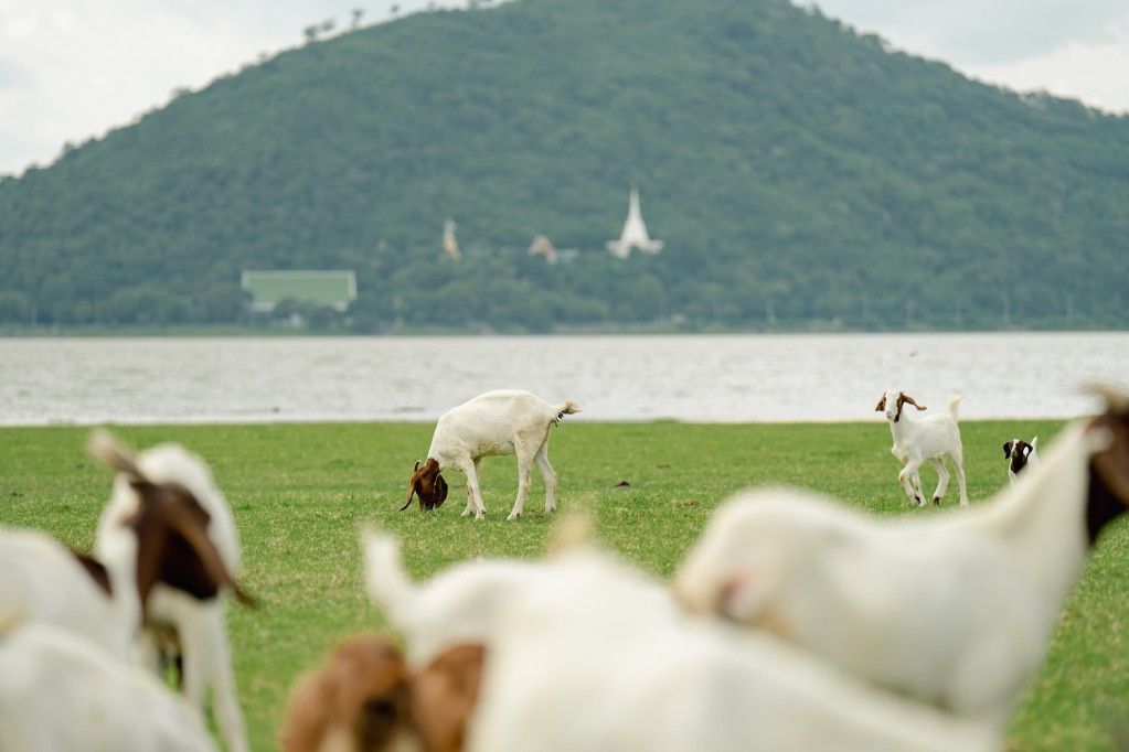 ท่องเที่ยวเมืองรองพร้อมช่างภาพ ที่บ้านท่าฤทธิ์ สระบุรี