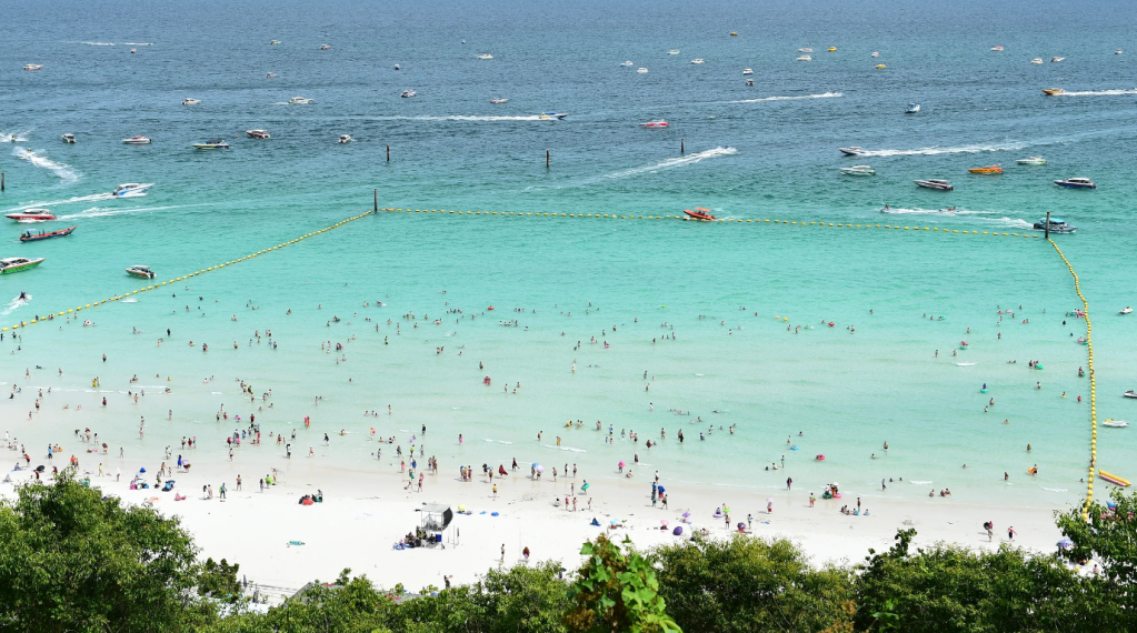 ทริปนั่งสปีดโบ๊ท ชมปะการังทำกิจกรรมทางน้ำ ที่ Coral Island เกาะล้านกับไกด์มืออาชีพ