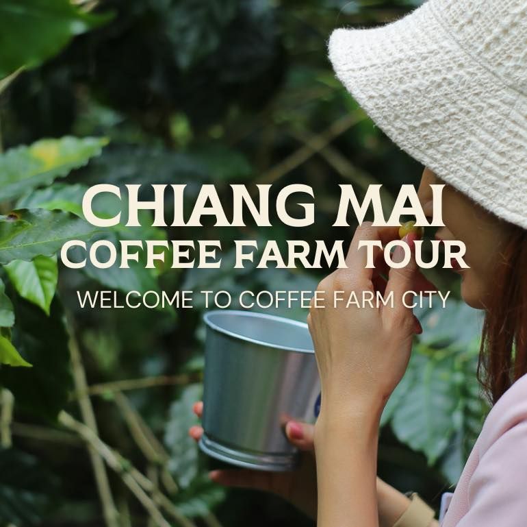 โปรแกรมทัวร์ฟาร์มกาแฟ