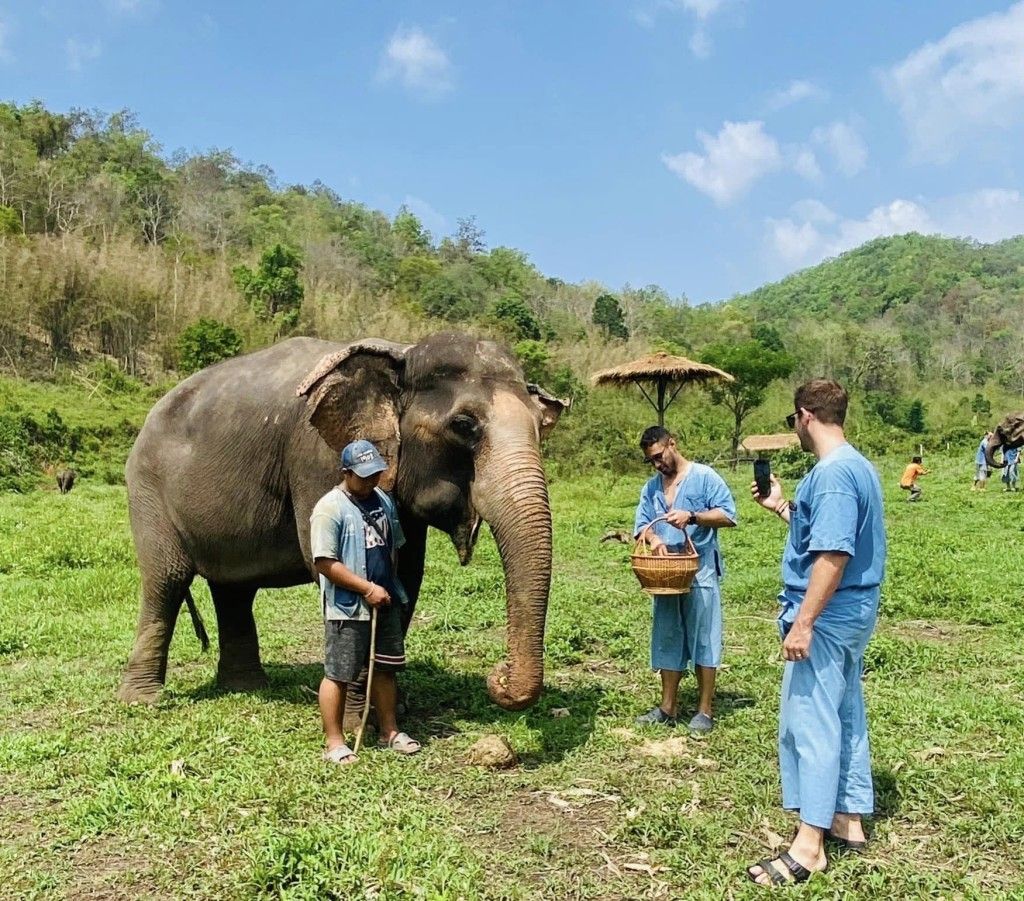Afternoon Trip: HALF DAY ETHICAL LANNA KINGDOM ELEPHANT SANCTUARY with Pick up and Drop off