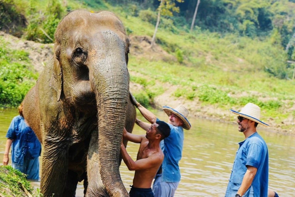 ELEPHANT SANCTUARY TOURS FULL DAY