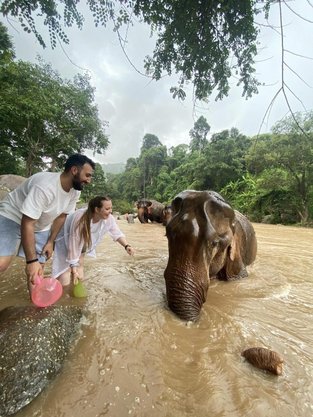 Elephant pride sanctuary. Full Day care with Hotel pick-up and Drop-off