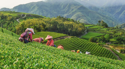 ทัวร์สำรวจอุทยานแห่งชาติเขาอาลีซาน