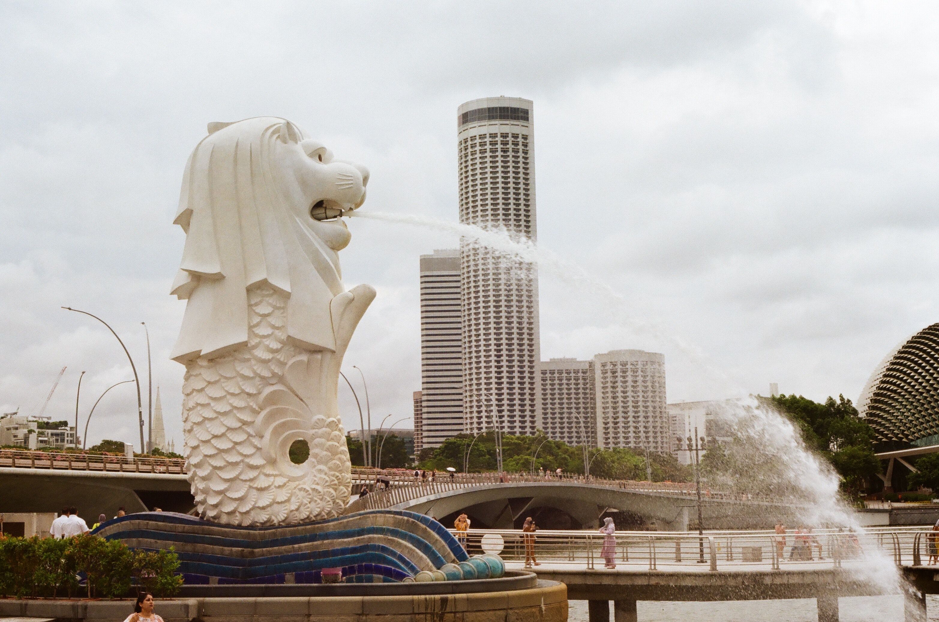 Changi Airport Transfer with Singapore City Sightseeing Tour