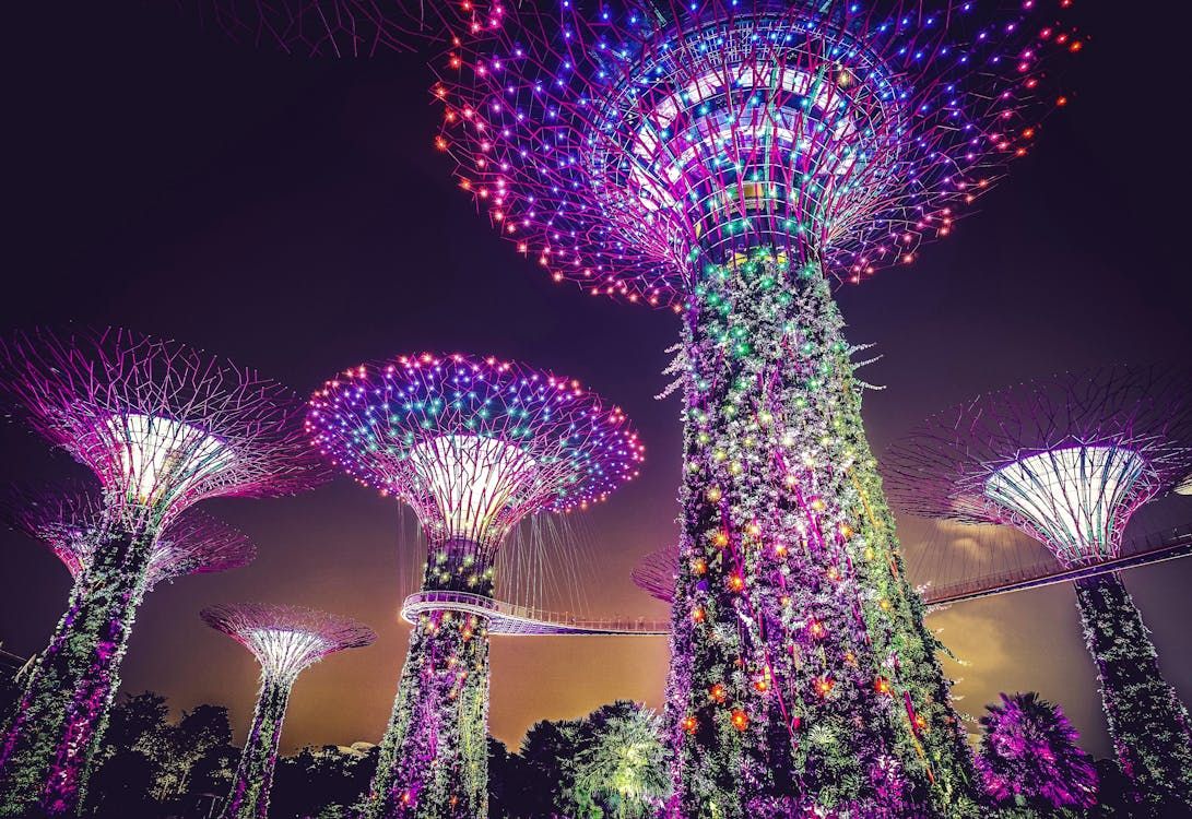 สวนพฤกษศาสตร์การ์เดนส์ บาย เดอะ เบย์ พร้อมบริการรับ-ส่งกลับ