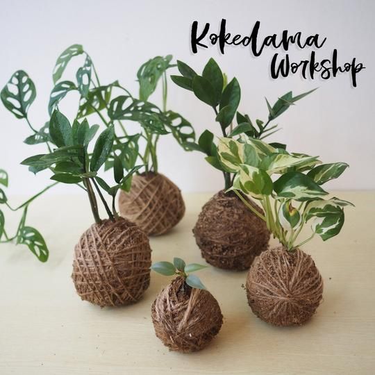 Kokedama Workshop
