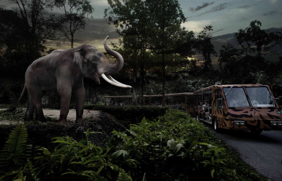 Singapore Zoo, River Wonders and Night Safari with Return Transfer